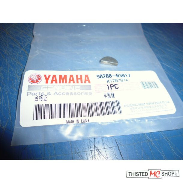 NOT SVINGHJUL  FS1 50 STING SG 50  90280-03017 146-11545-00