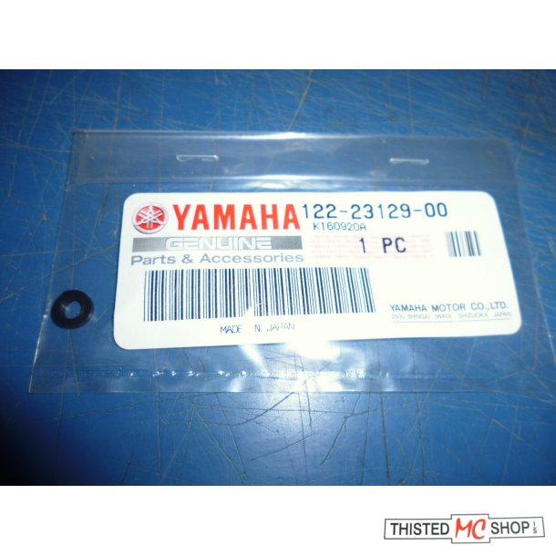 PAKNING GASKET DRAIN PLUG FS1 50 122-23129-00