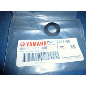 SHIM FS1 50 257-17219-00