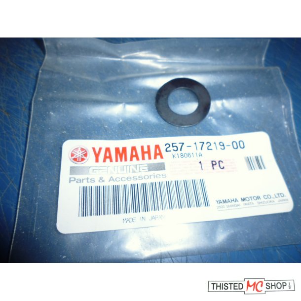 SHIM FS1 50 257-17219-00