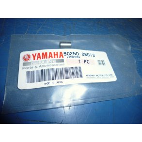 PIN FS1 50 90250-06013 257-18552-00 260-18552-00