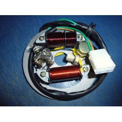 TNDING KOMPLET FLYWHEEL MAGNETO FS1 50 257-81300-20UO 257-81300-21UO  257-81300-22UO  UDEN ROTOR  