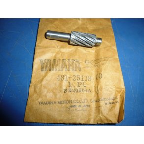 SPEDOMETERDREV  481-25138-00 FS1 50 DX 1976-79 