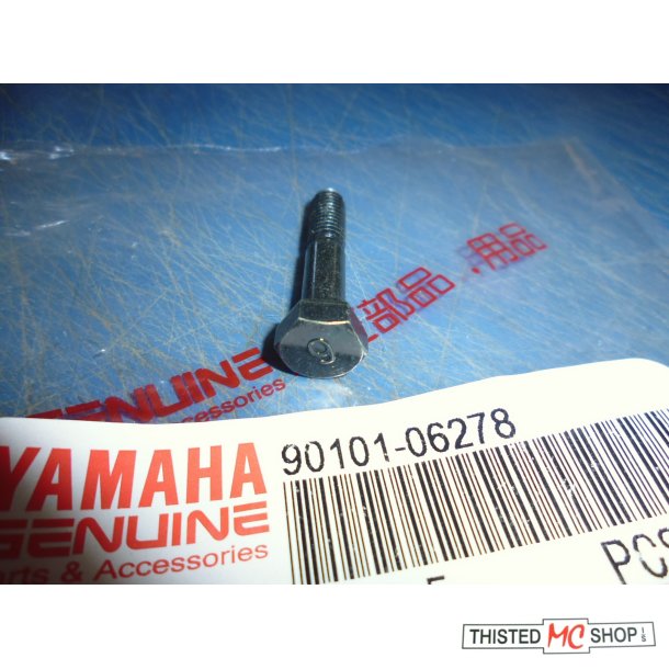 BOLT BREMSEARM BREMSENGLE FS1 50   90101-06278 6-35MM