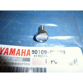 BOLT FS1 50 90109-06001 90109-06239 132-18177-00 K - DX 1969-79