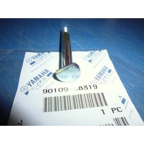 BOLT KDEHJUL BAG SPROCKET  FS1 50 90109-08319 109-25411-00 K-DX 1977-79