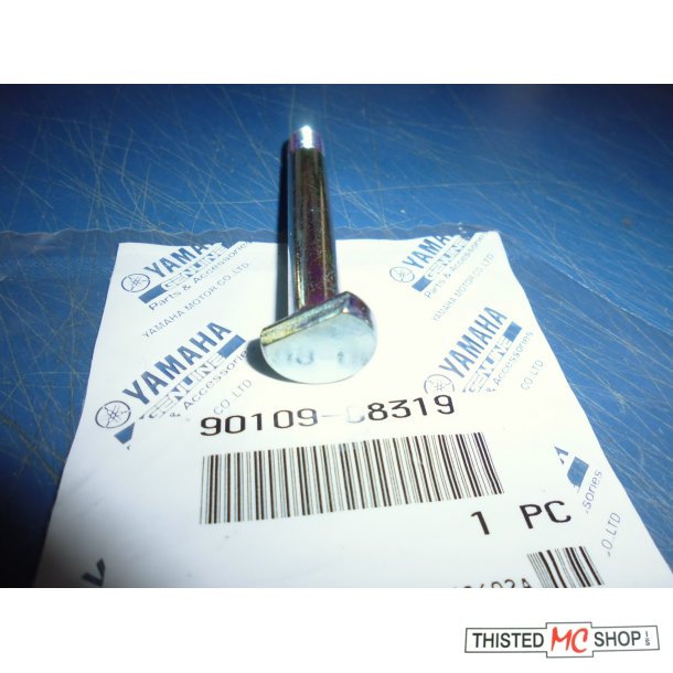 BOLT KDEHJUL BAG SPROCKET  FS1 50 90109-08319 109-25411-00 K-DX 1977-79
