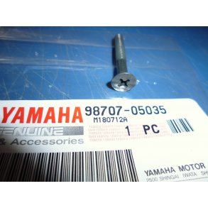 SKRUE VDSKELG UNDERSNKET   FS1 50 98706-05035 98707-05035  DX 1979-