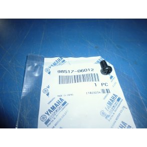 STJERNE SKRUE  FS1 50 STING SG 50 98517-06012 95801-06012 92501-06012  92506-06012