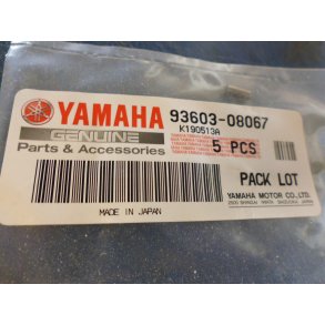 BSNING LSEPROP  FS1 50 93603-08067