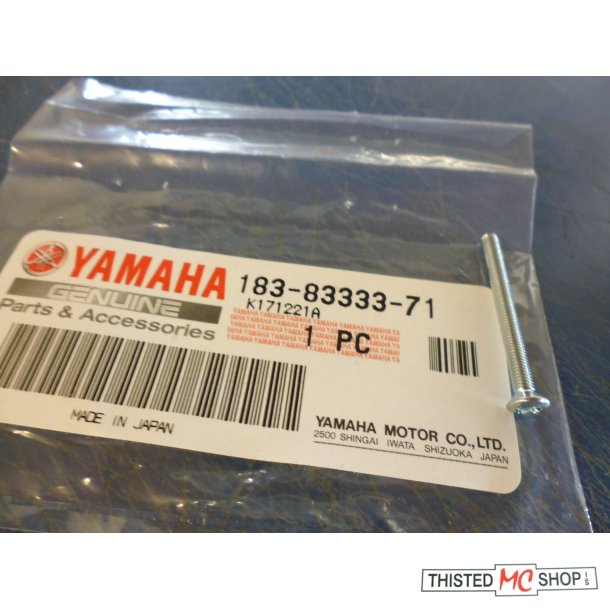 SKRUE SCREW LENS FITTING  FS1 50 183-83333-71 K 1974 3X32