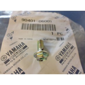 BANJOBOLT FS1 50 90401-06001 137-13165-00