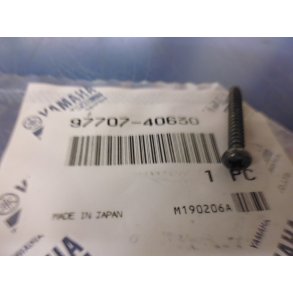 SKRUE  TAPPING LENS FS1 50 2GEAR STING SG 50 97707-40630 97706-40630 97706-40530