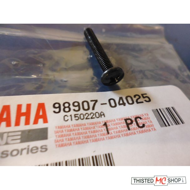 SKRUE SCREW BLIND FS1 50 2GEAR 98907-04025 98906-04025