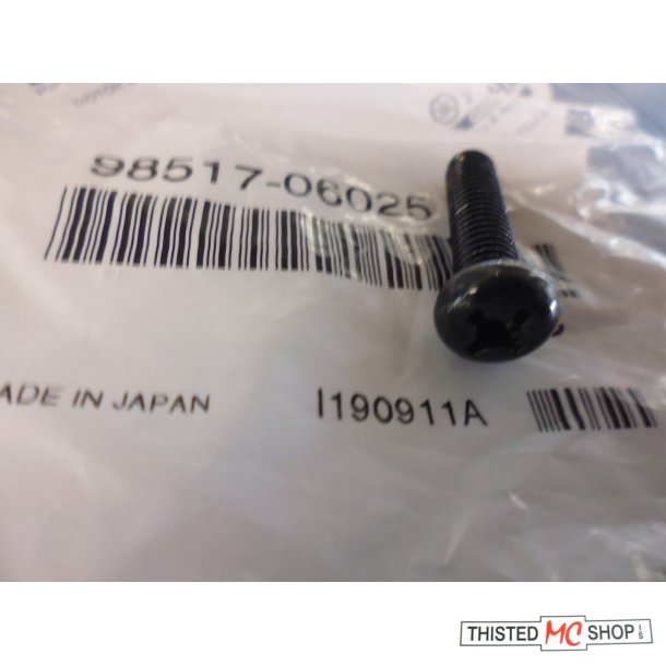 SCREW PAN HEAD STING SG 50 98517-06025
