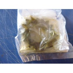 KICKSTARTER PINION 13075-010