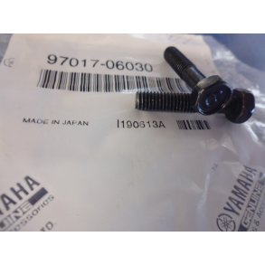 BOLT HEXAGON FS1 50 91201-06030 97021-06030 97017-06030 97301-06030