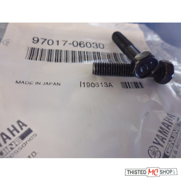 BOLT HEXAGON FS1 50 91201-06030 97021-06030 97017-06030 97301-06030