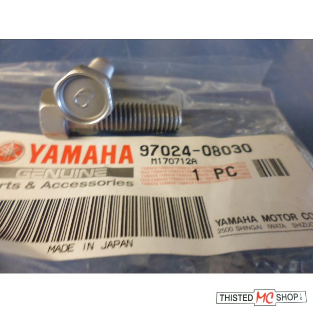 BOLT FS1 50 97301-08030 97313-08030 97024-08030 STK PRIS