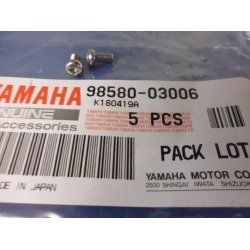 STJERNESKRUE  BLINKLYS  FS1 50 98501-03006 98580-03006    98580-03005 K - DX 1977-79  STK MED PRIK