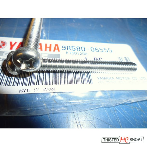 STJERNE SKRUE  FS1 50 98580-06555 92501-06055
