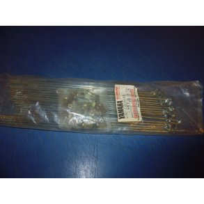 EGER SPROKE MED NIPPEL 2 STK 1 UDVENDIG  1 INDVENDIG   2A6-25104-00 DT 175 DT 125 