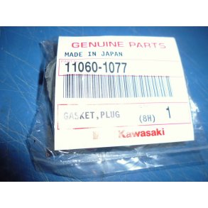 GASKET PLUG 11060-1077