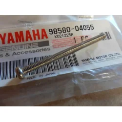 STJERNESKRUE BAGLYGTEGLAS FS1 50 98580-04055 127-84524-30 K-DX 1974-76 4-55MM  MED PRIK KAN AFKORTES